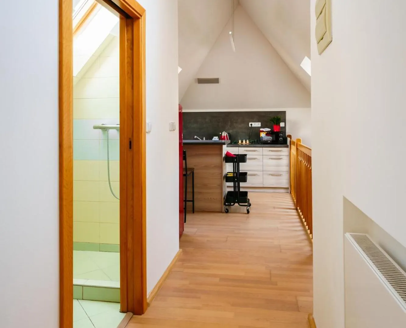 Apartman Ve Vile Ostrava